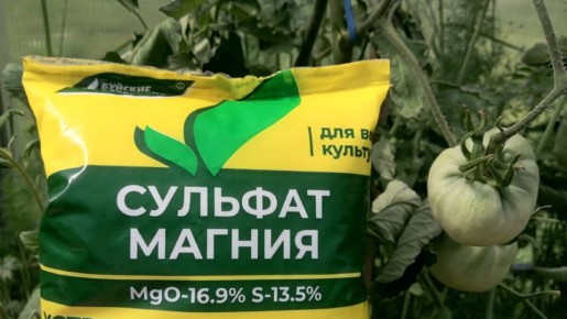 ����� �������� ��������� �������: ������� �������������� ������