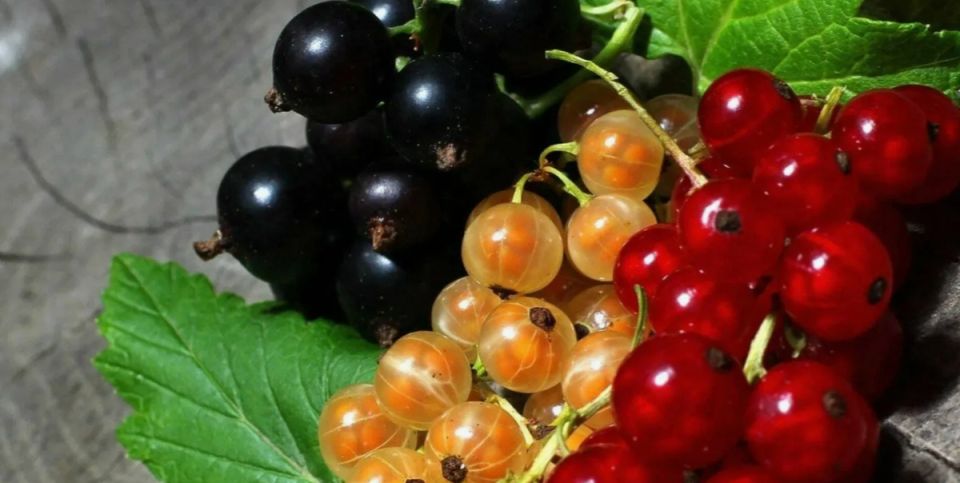 ��� �������� ��������� ��������� ����� ��������� ��������� ��������� �� 50%