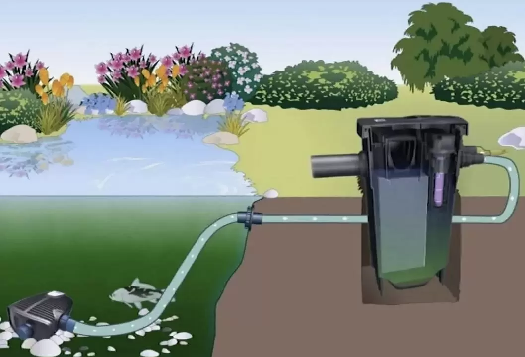 Как вернуть прозрачность воды в пруду: советы по очистке фильтров