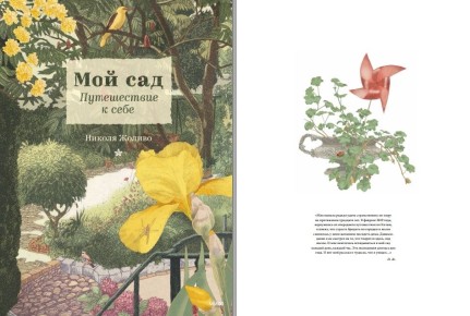 ������������ ����������� ���� ����: �����, ������� ����������� � ������������ �����������