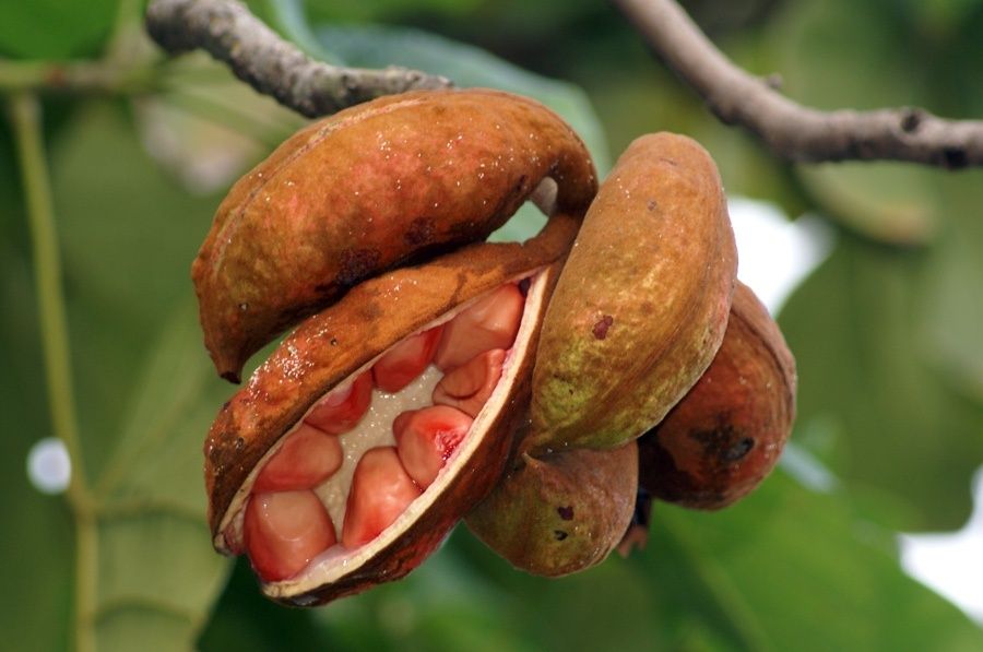 ����� ����: ������ ���� ������������ ���������� ������� ������� ������� �������