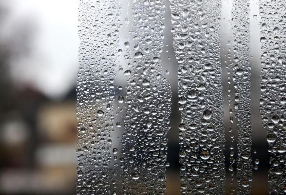 ��� ��������� ����� �����: ������ ��������� �� ������ � �������� � �����������