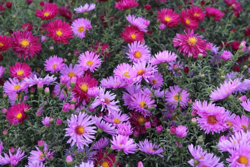 ������� ����� �� �������: ��� �������� ������� �������� � ��������