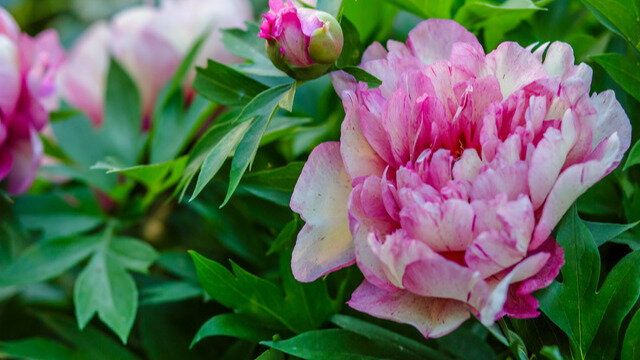 ��� �������� ������ ������ �����: ������� ����� ����� ��������