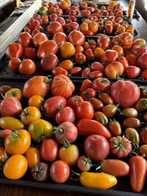 ����� �������: ��� ������������ ������ ������ ��� �������