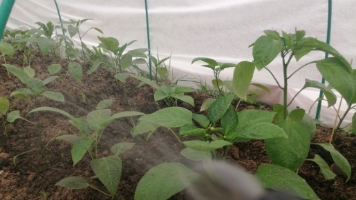 ��� ������ ����� ������� �������� ����� ������ �� ������: ����������� ����������