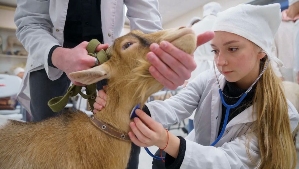 �������� ��������� ����� ������ �� �������� ���������