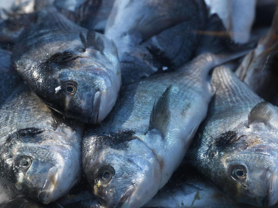 ��� � ������ ��������� ������� ���� ��������� ��� �������