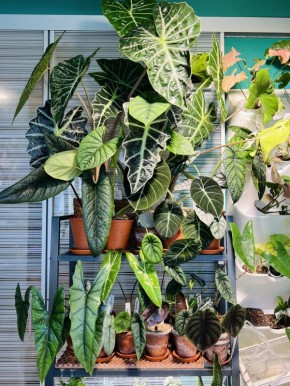 ��������: ��� ��������� ������ ���������� ������?