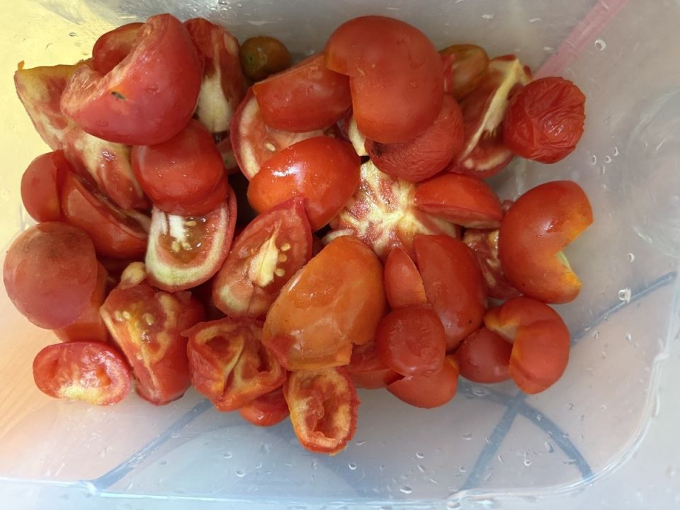 �������� ������ �� ����: ������� ������ ������������ ������