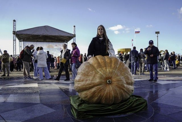 ������������ �������� ���� ��������� ����� � ��������