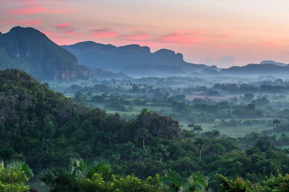 ������ ������ ������ ����: ������ �� �������� verscheny