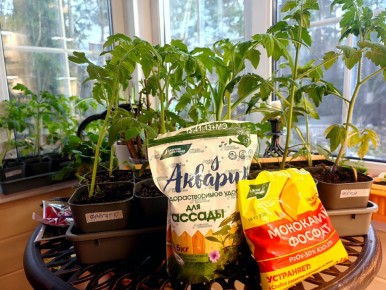 ��� ��������, ����� ���������� ����� ����� ��������� ������� ���������