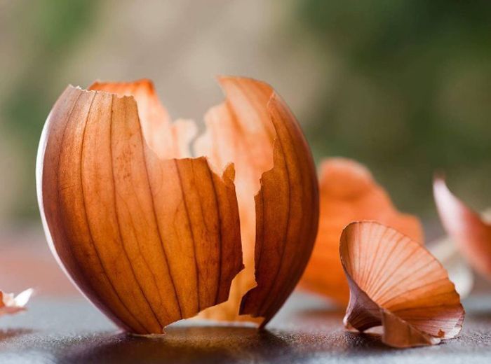 ������� ������: ����������� ������ ��� ������ ����, � ������� ����� �� �������