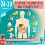 Плесень на продуктах: угрозы для здоровья, о которых стоит знать