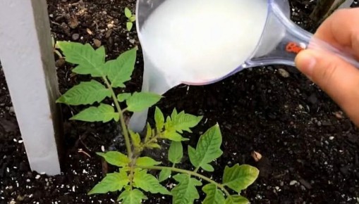 ������������� ������� � �����������: ��� ��� �������� ����� ��������� �����