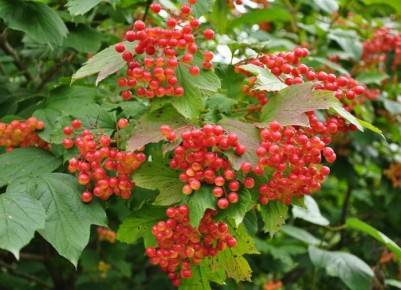 ������: ��������� ������� ��� ���������� � ������� ������� ���������