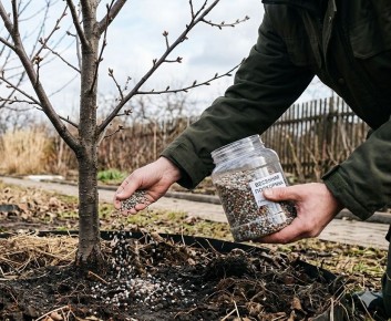 ������ ��������� ������: ��� ���������� �������� ������ ����� � �����