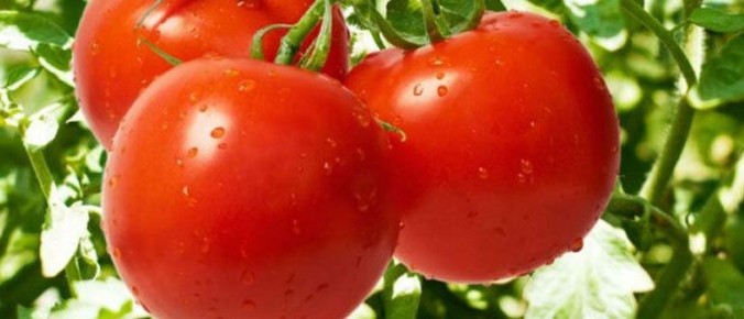 ��� �������� �������� � ���������� ������� �� �������