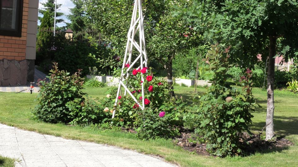 ��������� ����� ��� ������ ����: �� ������ �� �������