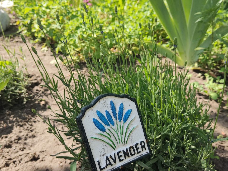 ��� ������� ������� ������� ������ �� � ��������: ���������� ����������