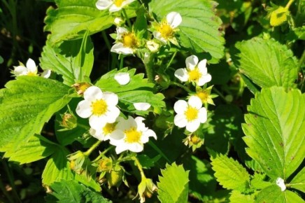 ��� ������ ������� �������� �������� ��������� ������� ������