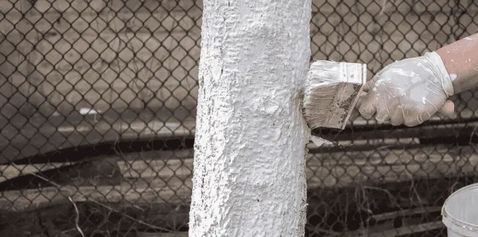 ���� �� ���������: ������� �������� ������� ��� �������� ������ ����