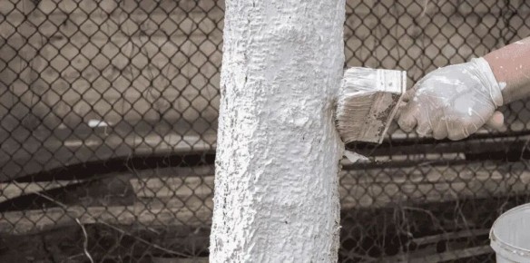 ���� �� ���������: ������� �������� ������� ��� �������� ������ ����