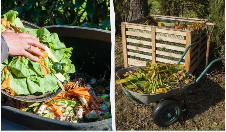 ��� ������ ������� � �������: ������� �������� � ������, � ������� ������� �����