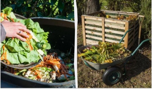 ��� ������ ������� � �������: ������� �������� � ������, � ������� ������� �����