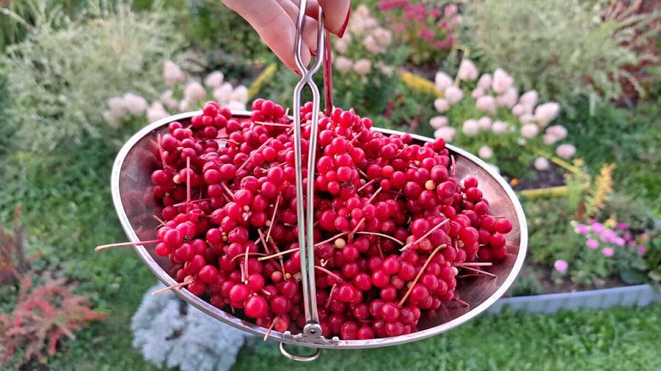 �������� ���������: ��������� ��������� ��� ������ ����