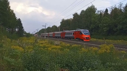 ����������� ������ � �������������, ����������, ����������� � ����������� �������� � 24 ������ ����� ����������� � ��������������� ��������