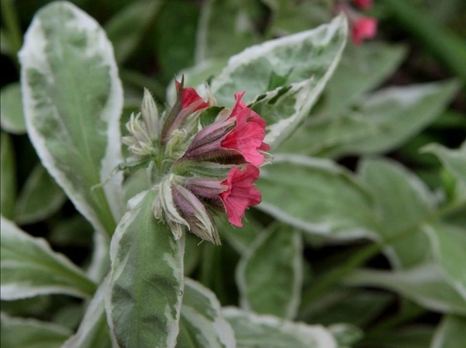 �������� 'David Ward': ������� ���������, ������� ������ ������� ���