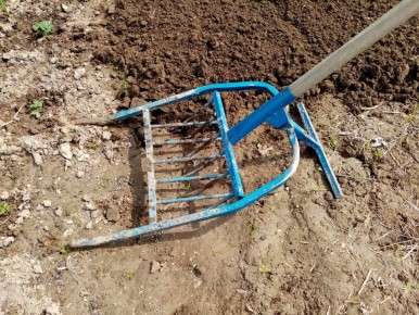 ��� ������� �������� � ����������� ����� ��� ������ ����