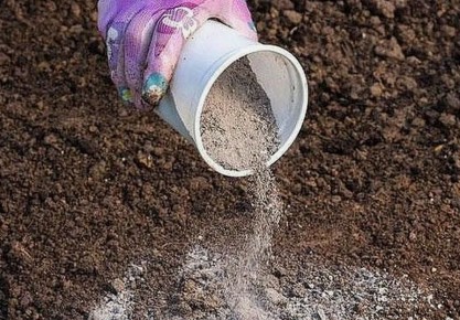 ����� �� �������: ������� ��������, ������� ������ ��� ������