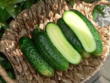 ������ ������ ������: ��������� ����� ��� ������� ������ � ������� ���������