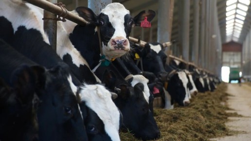 �� ������ ������� ������� ������� ��������� ������ ������������ ���������������� ���������