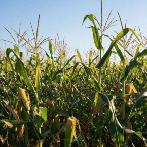 ���������� �����: 10 ����� � ��������, ������� ������ ������� ������� ������