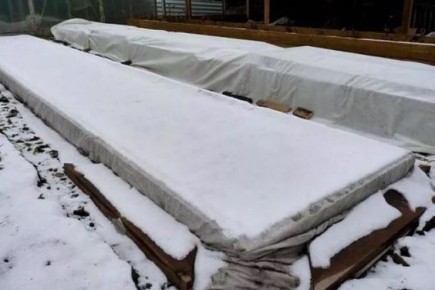 ������ � ����: ������ � ������� ������ � ������ �������� �� ������ �������