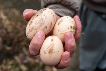 ��� ����� ���������� ���� � �������� ������?