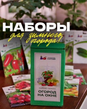 ����-������ �� �����������: ��� ��������� ������ ����� � ������ �����