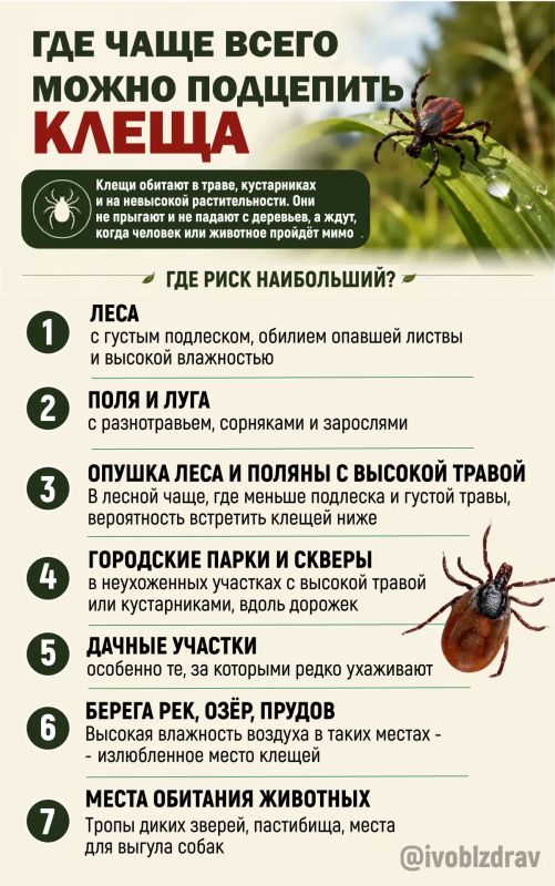 Как защититься от клещей: важные правила безопасности Как защититься от клещей: важные правила безопасности