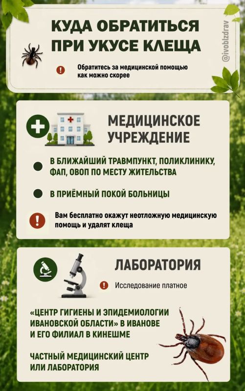 Как защититься от клещей: важные правила безопасности Как защититься от клещей: важные правила безопасности