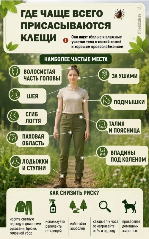 Как защититься от клещей: важные правила безопасности Как защититься от клещей: важные правила безопасности