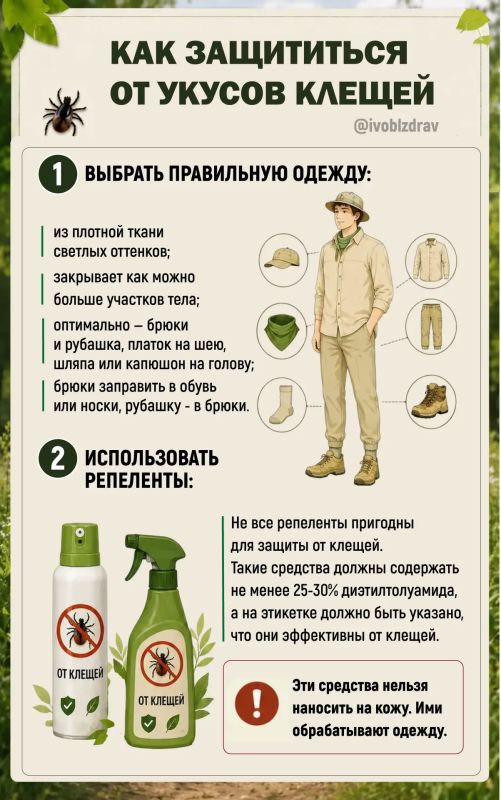 Как защититься от клещей: важные правила безопасности Как защититься от клещей: важные правила безопасности
