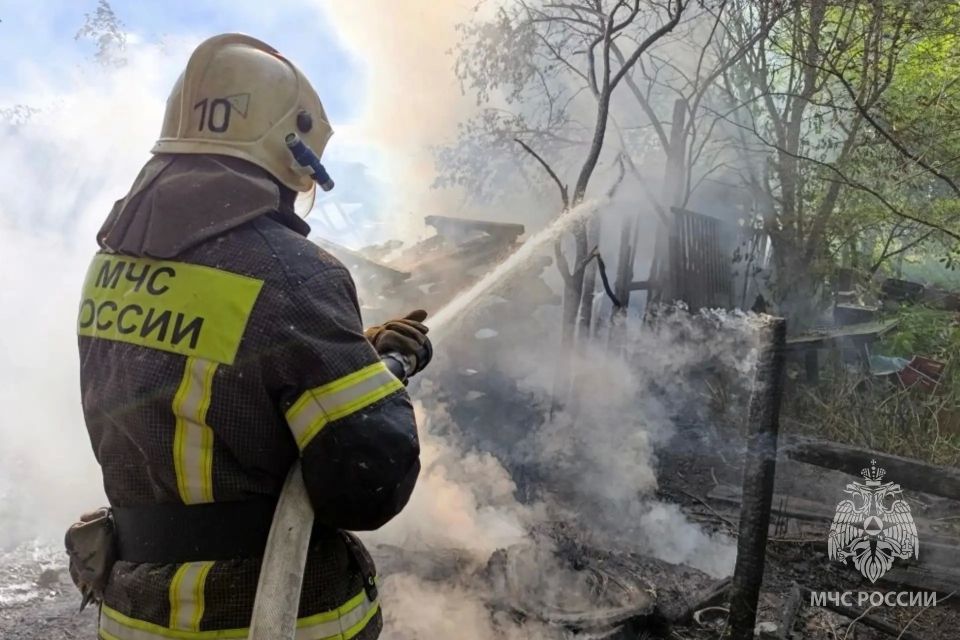 За минувшие сутки пожарно- спасательные подразделения: За минувшие сутки пожарно- спасательные подразделения: