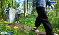 Школьники, педагоги и экоактивисты региона объединились в борьбе с мусором