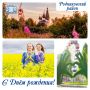 � ���� ������ ���� ��� �������� �������� ������������, ���������� � ����������� ������, � ����� ���, ����� � ������
