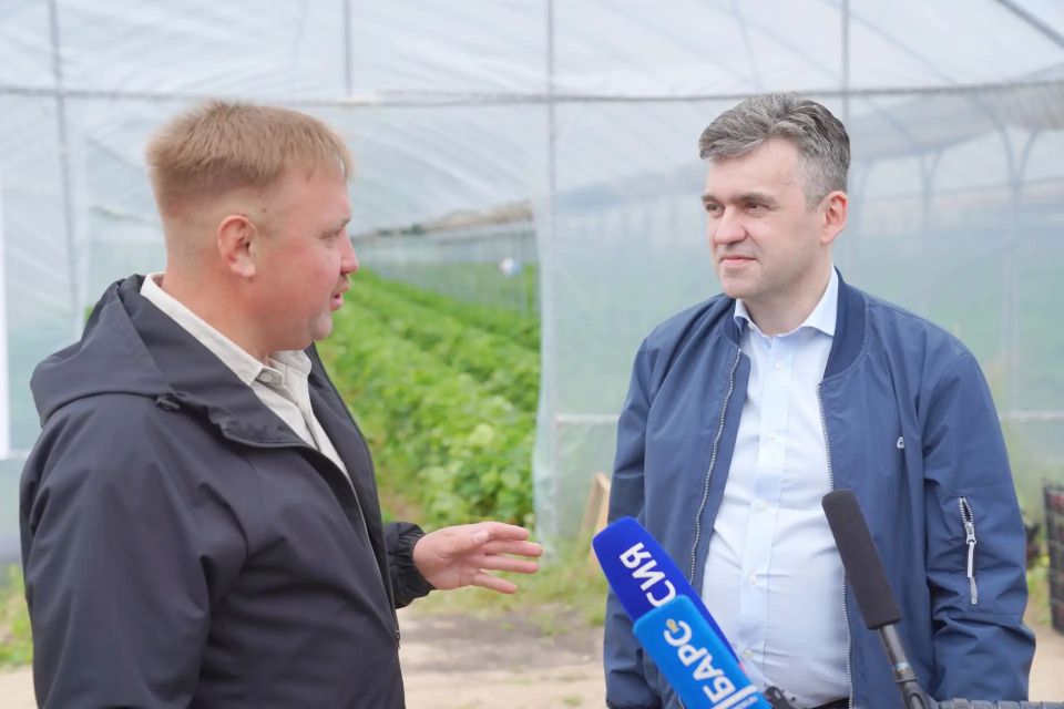 В Комсомольском районе развивают крупнейшее в регионе производство ягод В Комсомольском районе развивают крупнейшее в регионе производство ягод
