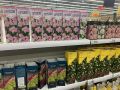 Как избежать распространенных ошибок при покупке многолетних растений весной